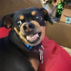 Meet your Posher, Terry